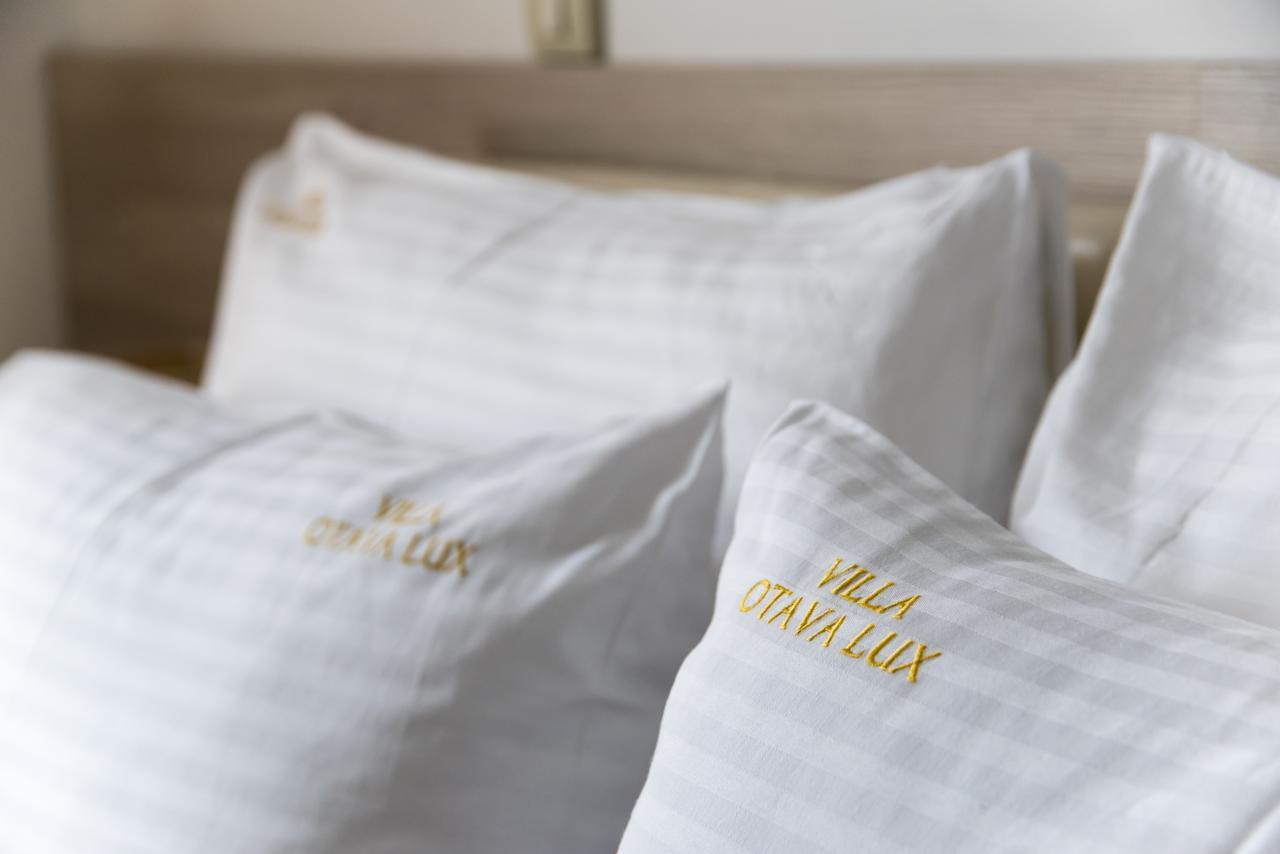 Villa Otava Lux Spa Vrnjačka Banja 外观 照片