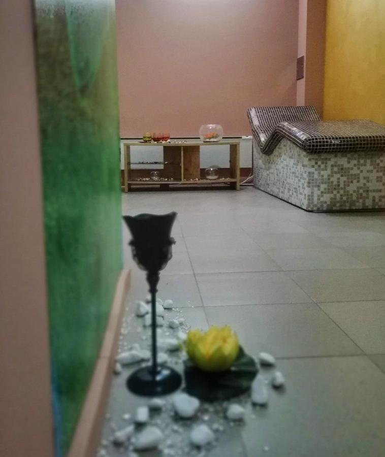 Villa Otava Lux Spa Vrnjačka Banja 外观 照片